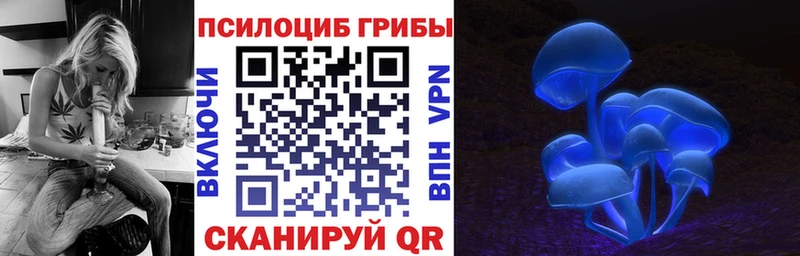Галлюциногенные грибы прущие грибы  закладка  Шенкурск 